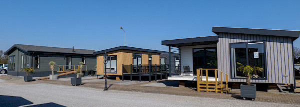 Purchase a chalet or mobile home at De Bergjes Heibloem-8