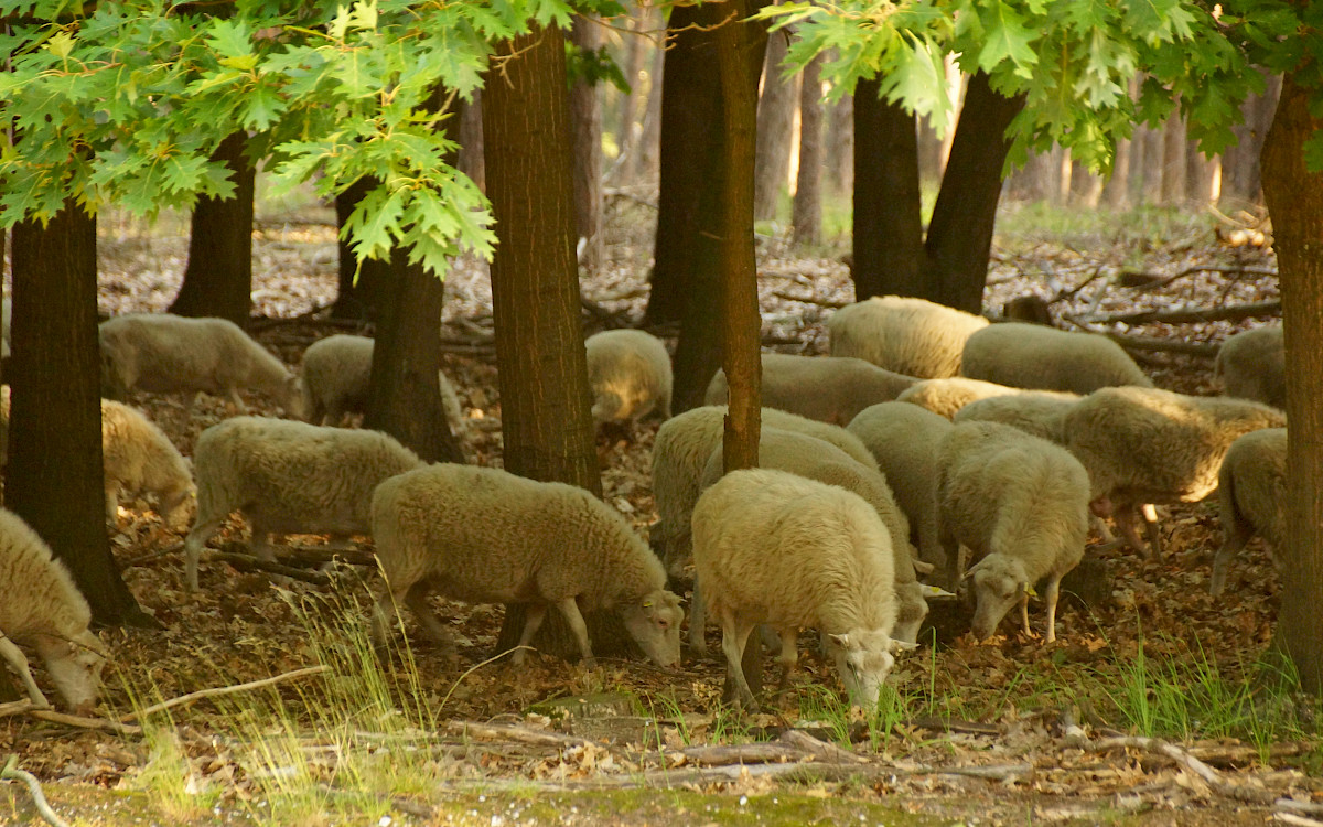 Camping Natuurplezier