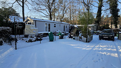 Family Dyck - Klinger